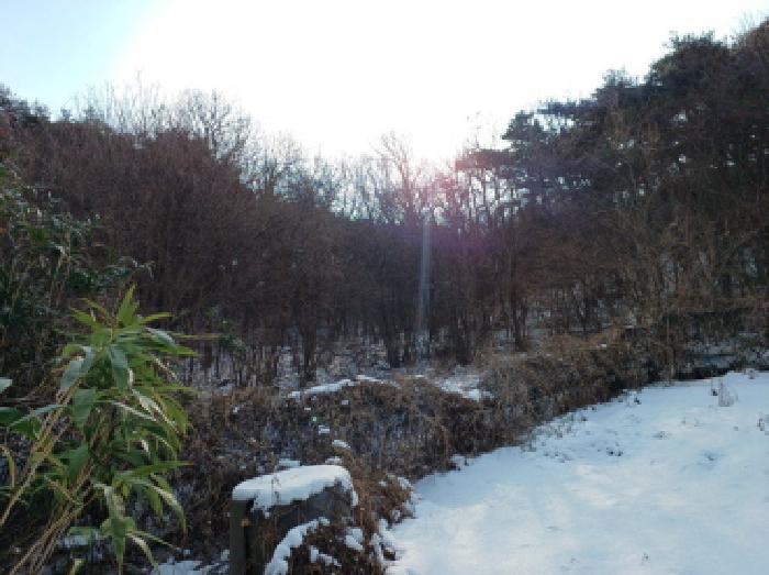 인천 남동구 서창동 아파트 경매 물건 사진 2 · 2025타경500706