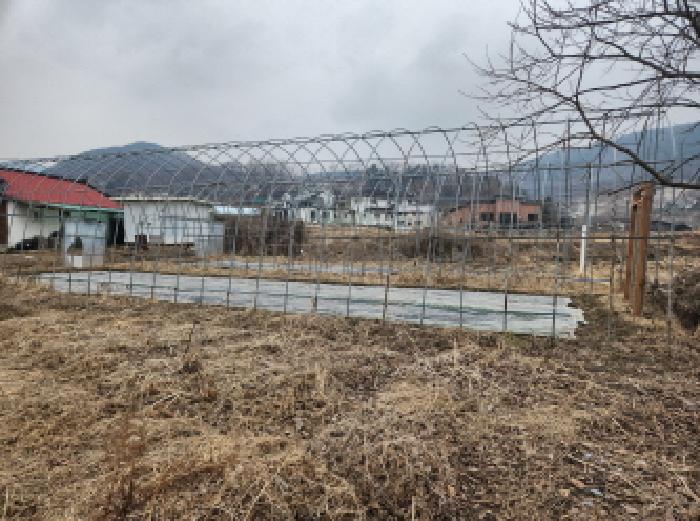 인천 강화군 선원면 전답 경매 물건 사진