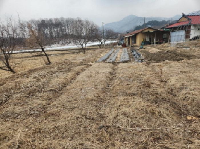 인천 강화군 선원면 전답 경매 물건 사진 2 · 2025타경505817