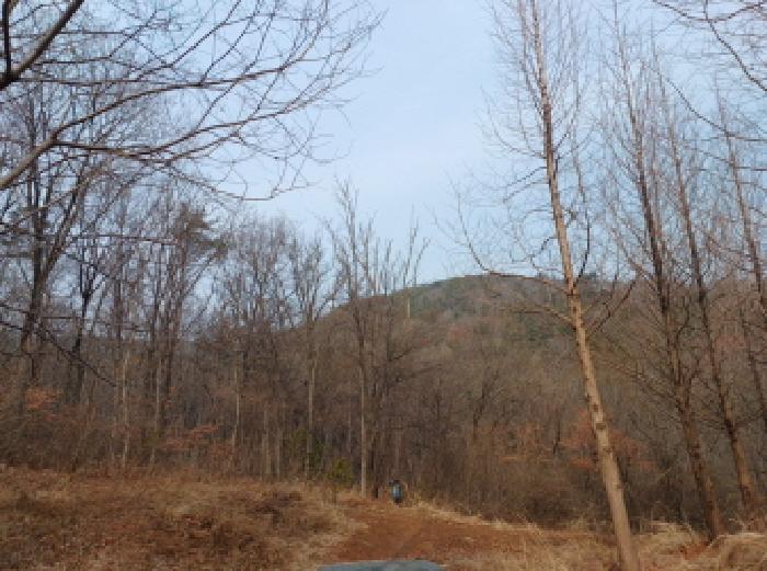 인천 옹진군 영흥면 임야 경매 물건 사진 3 · 2025타경507333