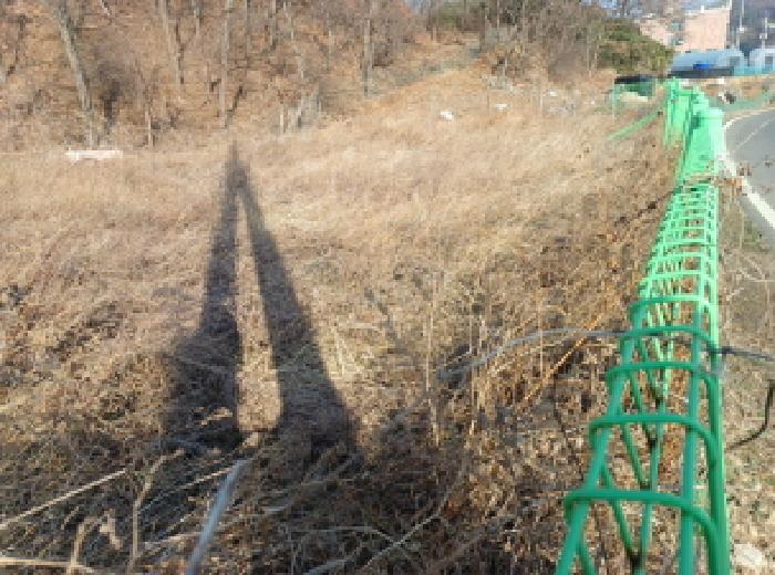 인천 옹진군 영흥면 답 경매 물건 사진