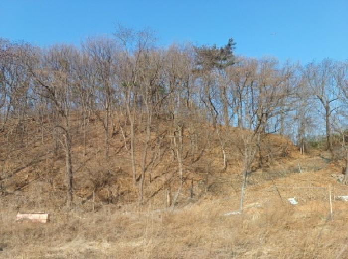 인천 옹진군 영흥면 답 경매 물건 사진 4 · 2025타경507409