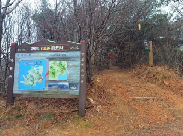 인천 옹진군 영흥면 임야 경매 물건 사진