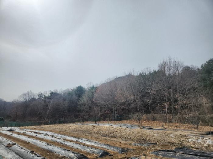 인천 강화군 양사면 임야 경매 물건 사진 2 · 2025타경507936