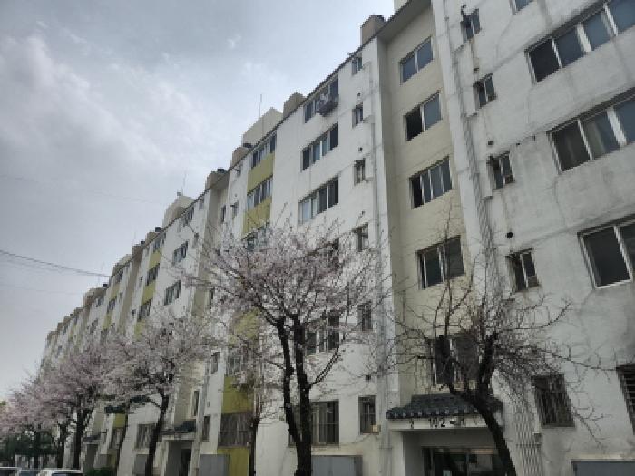 인천 서구 왕길동 아파트 경매 물건 사진 2 · 2025타경508266