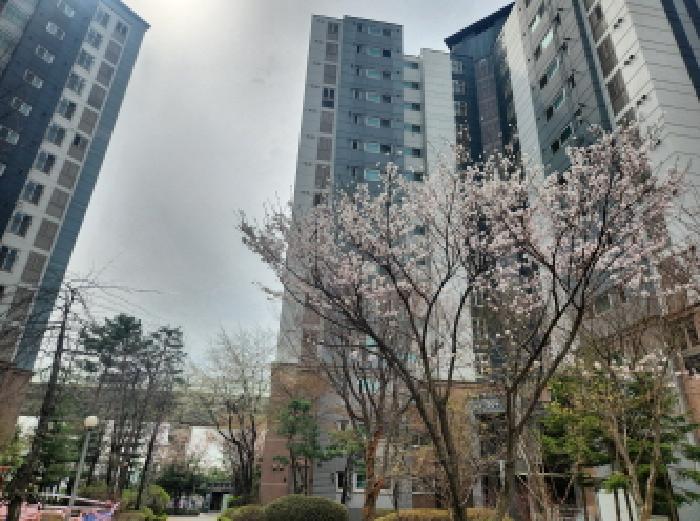 인천 서구 왕길동 아파트 경매 물건 사진 2 · 2025타경508374