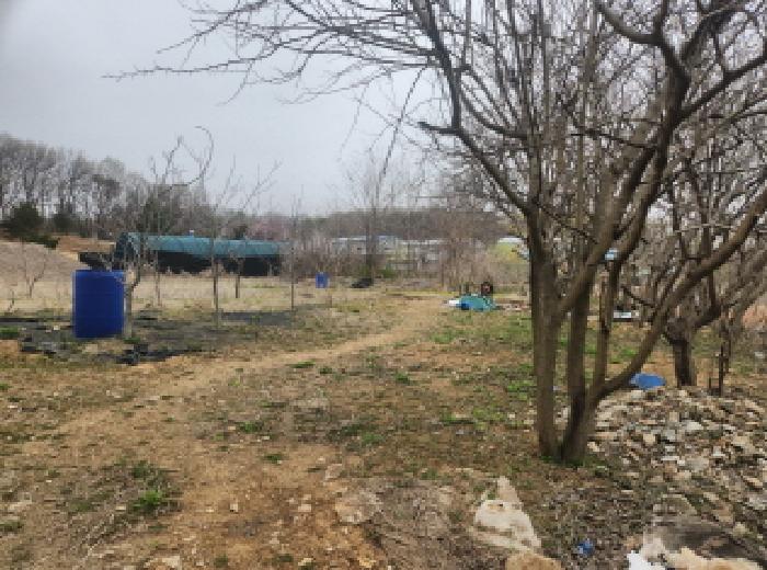 인천 서구 대곡동 대지 경매 물건 사진 6 · 2025타경508429