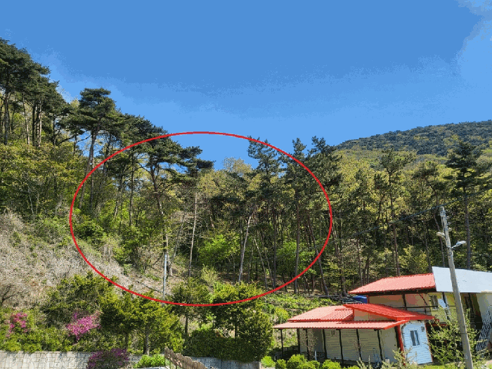 인천 옹진군 자월면 임야 경매 물건 사진 4 · 2025타경508711