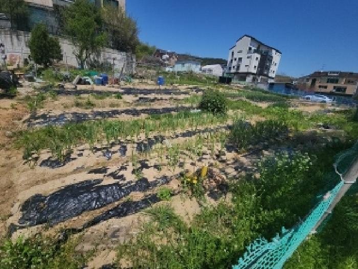 인천 중구 운남동 대지 경매 물건 사진 3 · 2025타경508744
