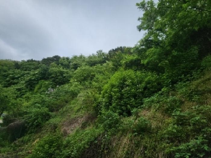 인천 연수구 동춘동 임야 경매 물건 사진 4 · 2025타경508968