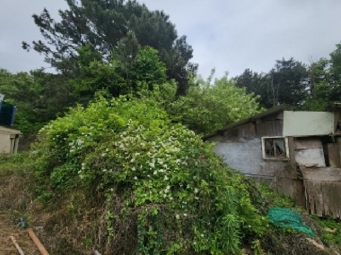 인천 연수구 동춘동 임야 경매 물건 사진 5 · 2025타경508968