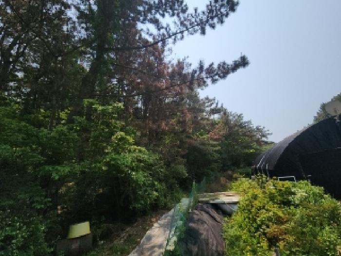 인천 중구 남북동 임야 경매 물건 사진 2 · 2025타경509290