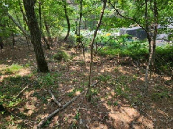 인천 중구 남북동 임야 경매 물건 사진 5 · 2025타경509290