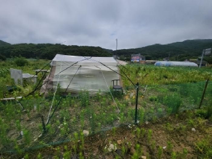 인천 중구 무의동 전답 경매 물건 사진 6 · 2025타경509776
