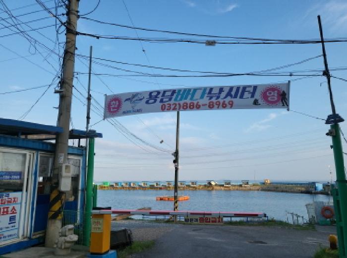 인천 옹진군 영흥면 임야 경매 물건 사진 4 · 2025타경510145