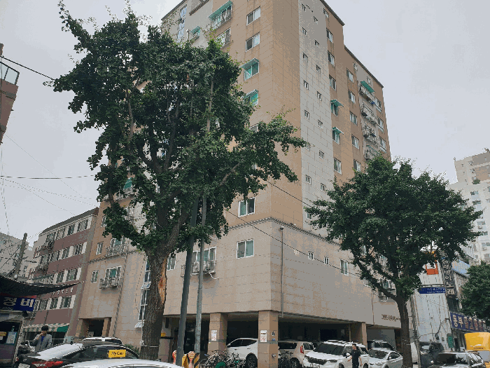 인천 부평구 부평동 다세대 경매 물건 사진 6 · 2025타경510207