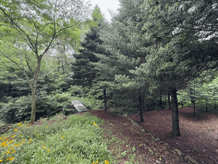 인천광역시 강화군 송해면 하도리 755-10 임야 경매 물건 사진
