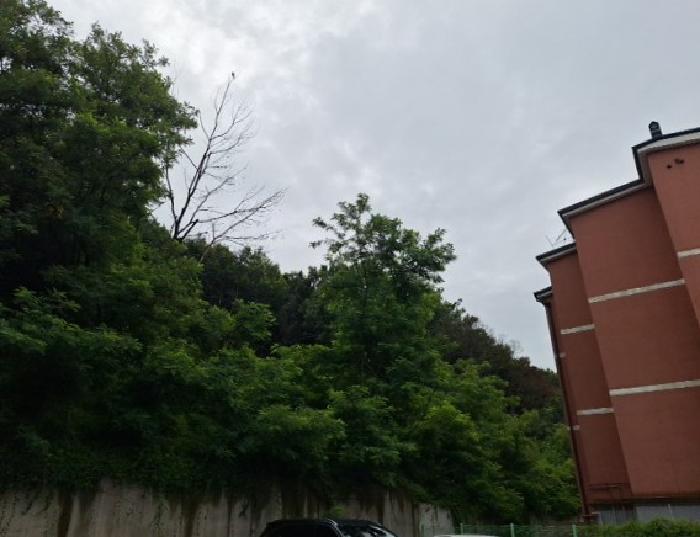 인천 중구 운북동 임야 경매 물건 사진 2 · 2025타경510506