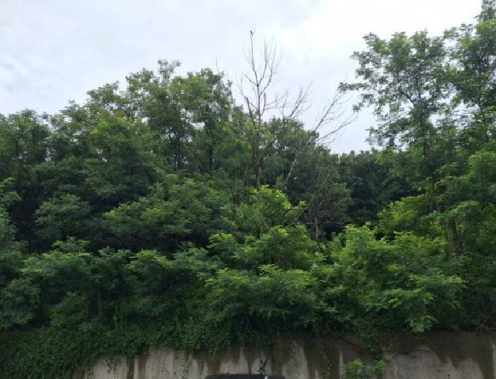 인천 중구 운북동 임야 경매 물건 사진 3 · 2025타경510506