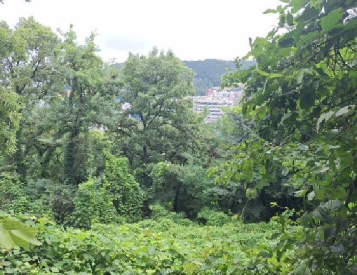 인천 연수구 옥련동 임야 경매 물건 사진 2 · 2025타경510510
