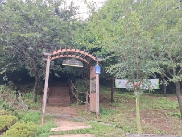 인천 연수구 옥련동 임야 경매 물건 사진 4 · 2025타경510510