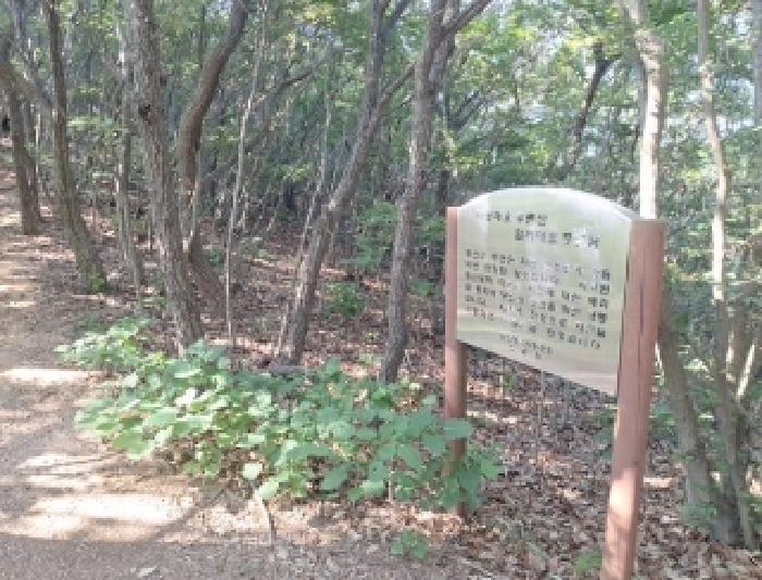 인천 중구 무의동 임야 경매 물건 사진 2 · 2025타경511019