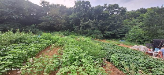 인천 남동구 도림동 대지 경매 물건 사진