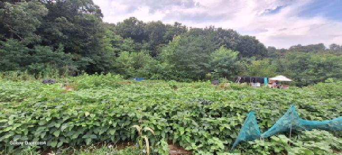 인천 남동구 도림동 대지 경매 물건 사진 3 · 2025타경511438