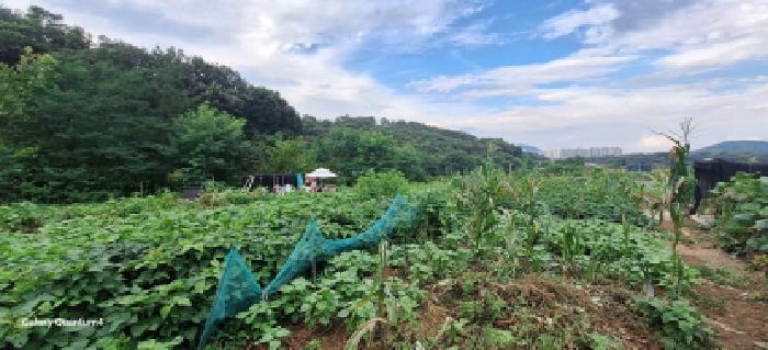 인천 남동구 도림동 대지 경매 물건 사진 4 · 2025타경511438