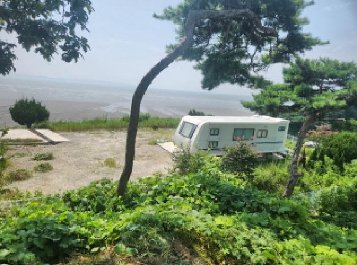 인천 강화군 화도면 대지,임야,전답 경매 물건 사진 4 · 2025타경511441