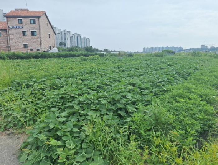 인천 중구 중산동 답 경매 물건 사진