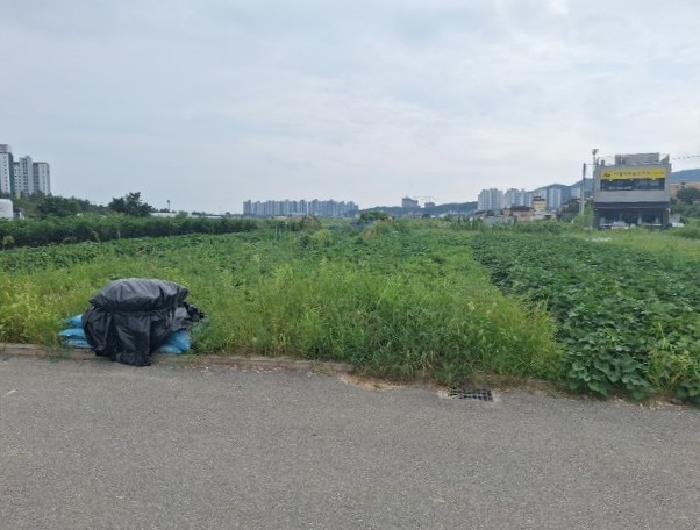 인천 중구 중산동 답 경매 물건 사진 2 · 2025타경511596