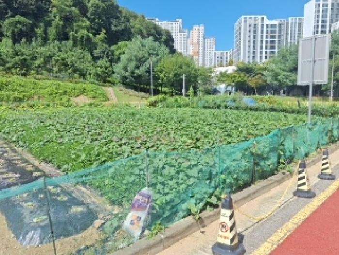 인천 중구 중산동 대지 경매 물건 사진