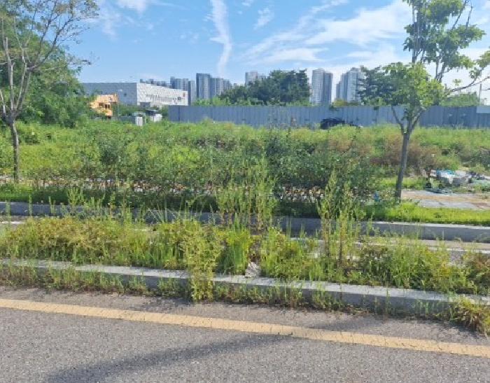 인천 중구 운남동 대지 경매 물건 사진 3 · 2025타경511798