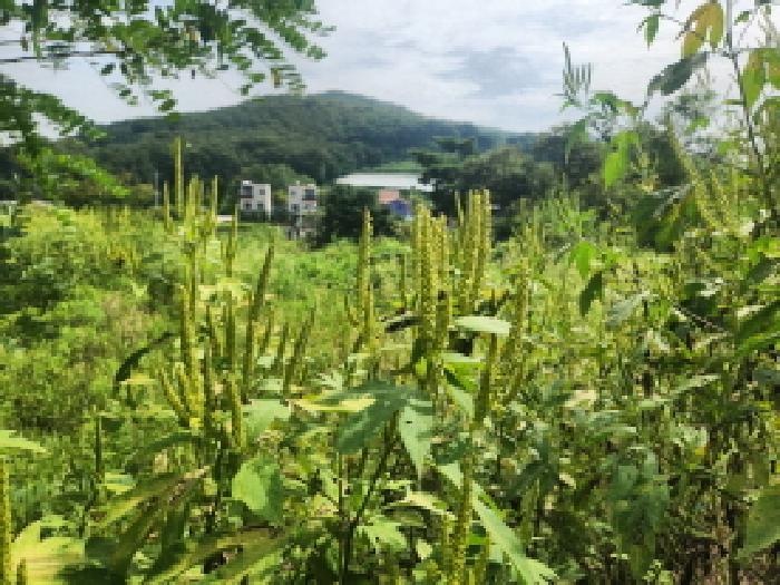 인천 강화군 양도면 임야 경매 물건 사진 3 · 2025타경511854