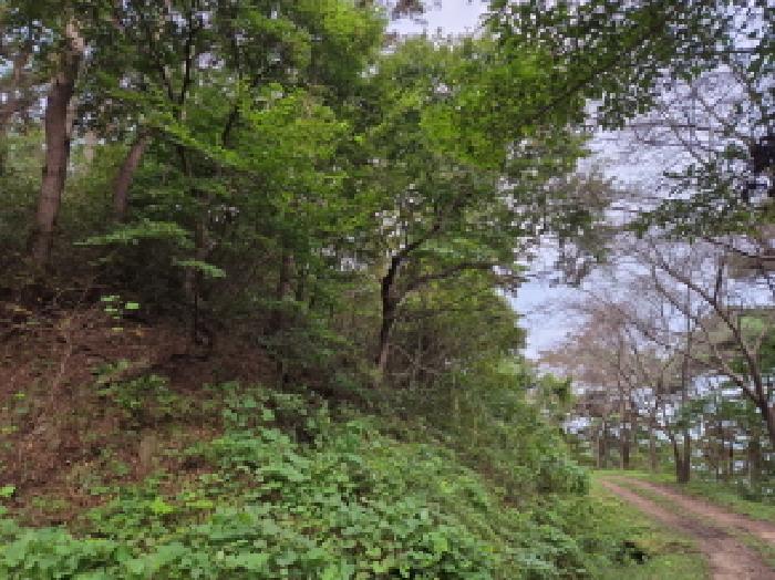 인천 옹진군 자월면 임야 경매 물건 사진 6 · 2025타경512043