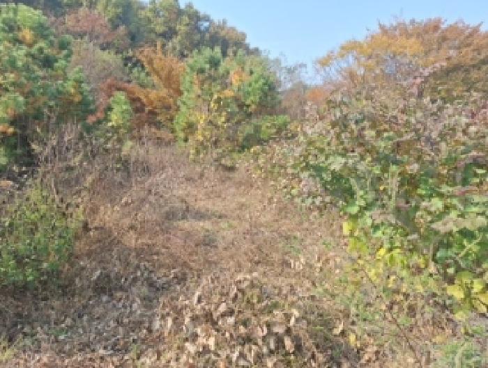 인천 중구 운북동 대지 경매 물건 사진 2 · 2025타경513575