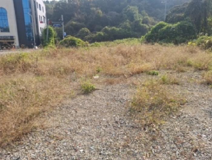 인천 중구 운북동 대지 경매 물건 사진 6 · 2025타경513575