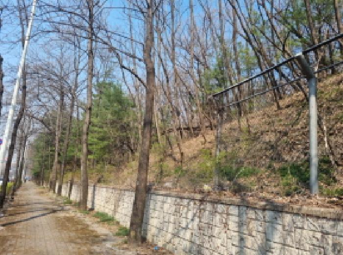 인천 남동구 장수동 임야 경매 물건 사진 2 · 2025타경765
