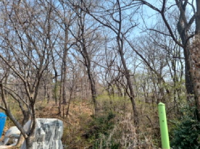 인천 남동구 장수동 임야 경매 물건 사진 5 · 2025타경765