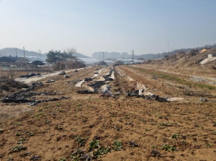 인천 남동구 운연동 전답 경매 물건 사진