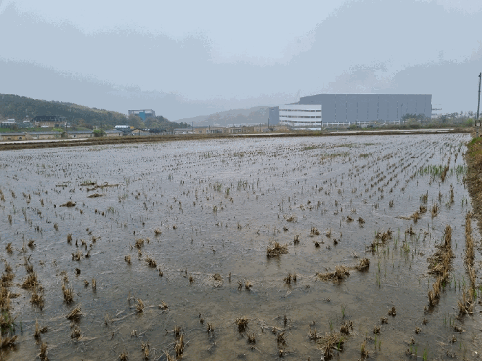 인천광역시 중구 운북동 789-360 대지 경매 물건 사진