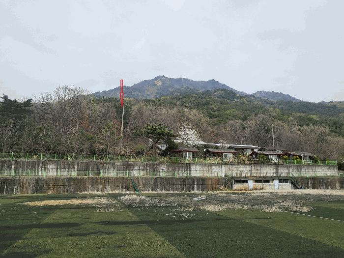 인천 강화군 삼산면 임야 경매 물건 사진