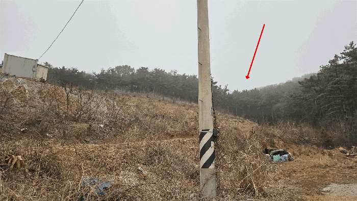 인천광역시 옹진군 북도면 장봉리 산77-12 임야 경매 물건 사진