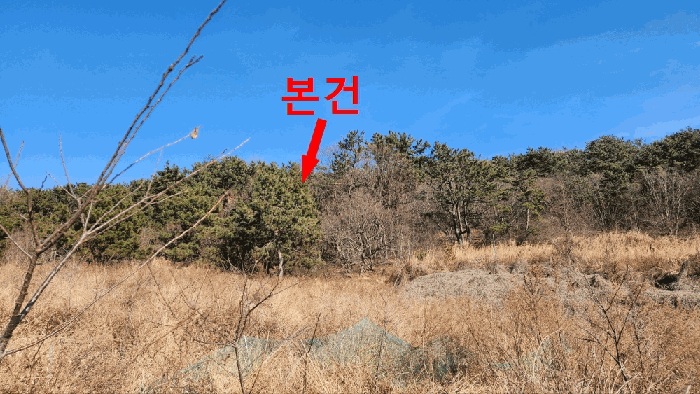인천 중구 을왕동 임야 경매 물건 사진 6 · 2026타경500804