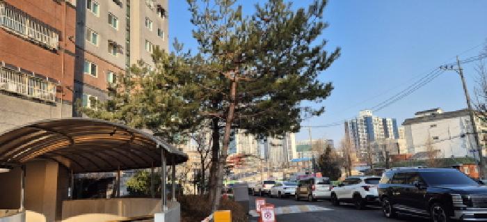 인천 부평구 십정동 다세대 경매 물건 사진 2 · 2026타경500873
