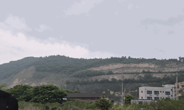 인천광역시 옹진군 백령면 진촌리 산48-11 대지,임야,전답 경매 물건 사진