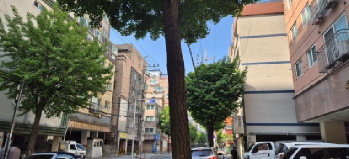 인천 부평구 부평동 오피스텔 경매 물건 사진 2 · 2026타경503316