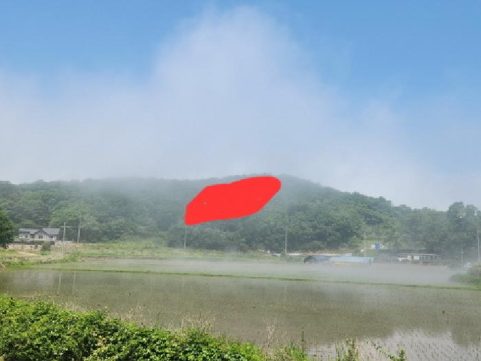 인천 옹진군 북도면 임야 경매 물건 사진 2 · 2026타경503869