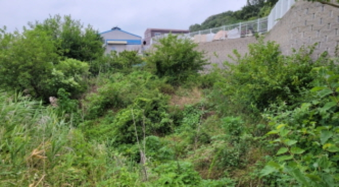 경기 김포시 대곶면 전 경매 물건 사진
